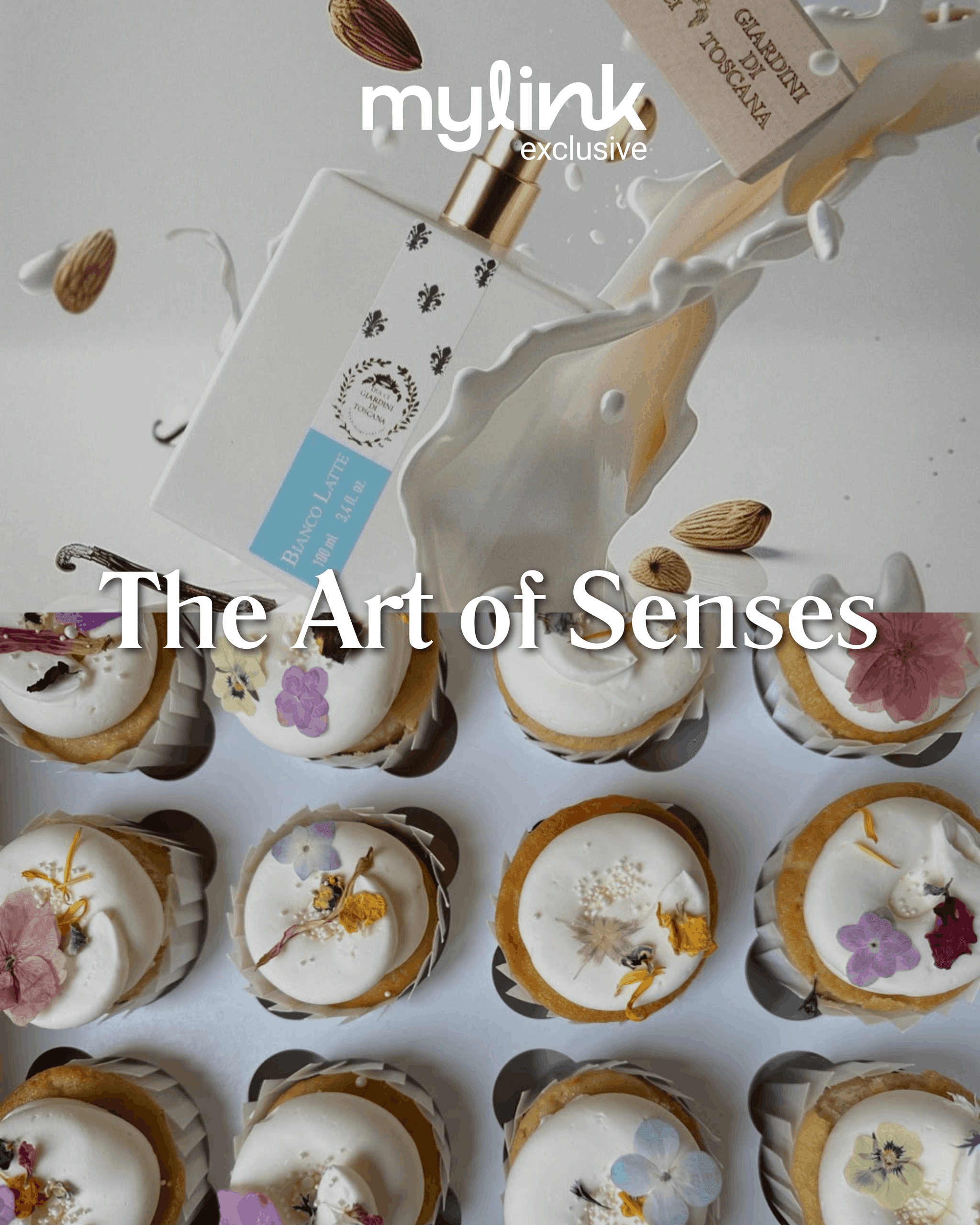 The Art of Senses