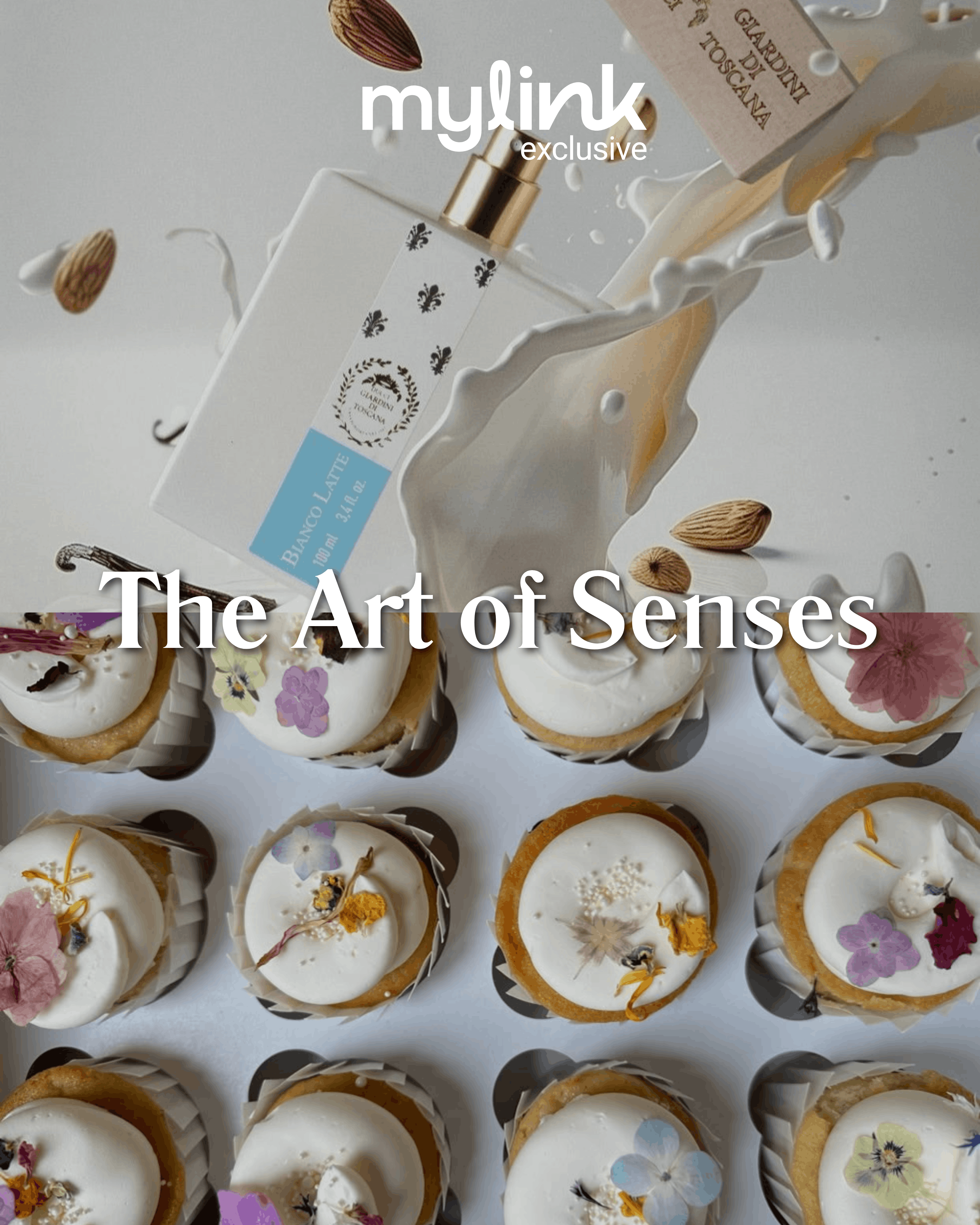 The art of Senses