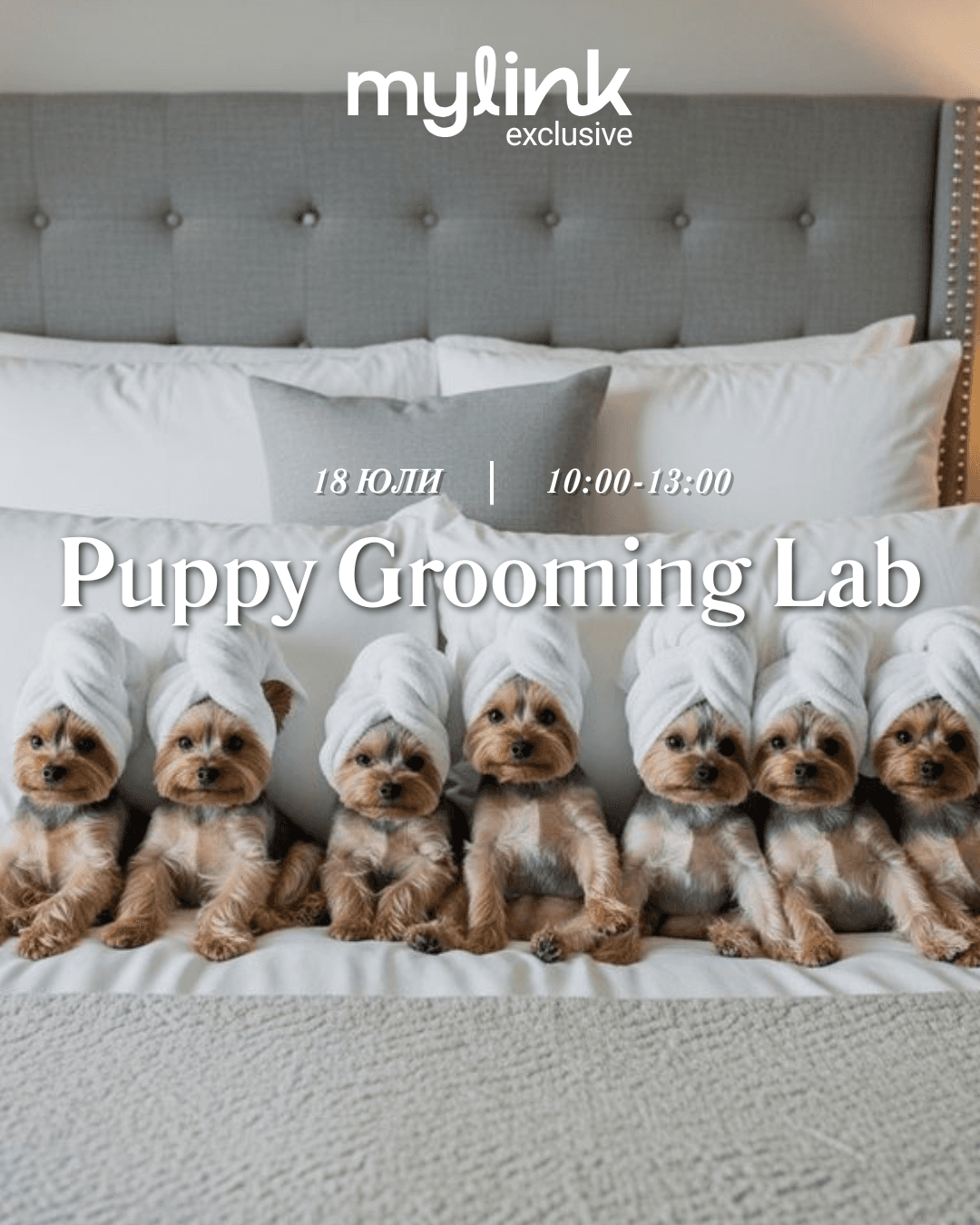 Puppy Grooming Lab